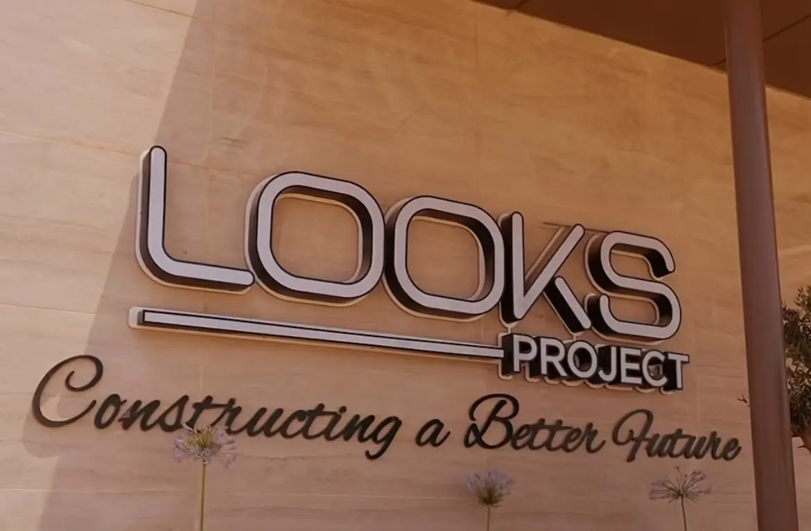 Looks Project